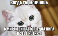 Когда ты молчишь В мире обижается одна Кира и этот котик :(