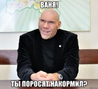 Ваня! ты поросят накормил?