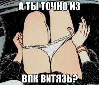 а ты точно из впк витязь?