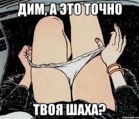 Дим, а это точно твоя шаха?