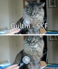 Gultni - SKF