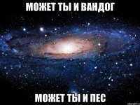 может ты и вандог может ты и пес