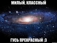 Милый, классный Гусь прекрасный ;3