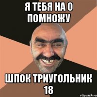 я тебя на 0 помножу шпок триугольник 18