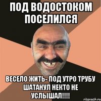 Под водостоком поселился весело жить- под утро трубу шатанул некто не услышал!!!!