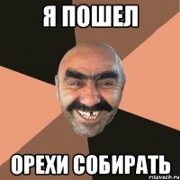 Я пошел Орехи собирать