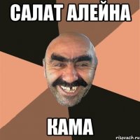 салат алейна кама