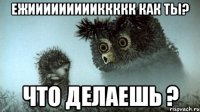 Ежиииииииииккккк как ты? Что делаешь ?