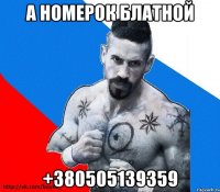 а номерок блатной +380505139359