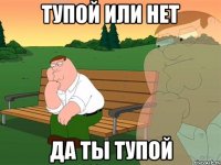 тупой или нет да ты тупой