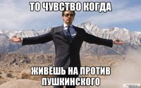 То чувство когда живёшь на против пушкинского