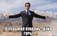  Отревьюил ЛунаЛиб - дуй в горы.