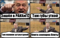 Зашёл в РАНХиГС Там губы уткой Там макияж штукатуркой Илита зоопарка блять!