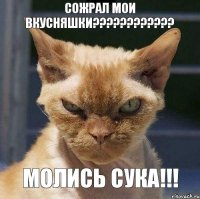 Сожрал мои вкусняшки???????????? Молись сука!!!