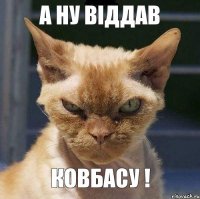 а ну віддав ковбасу !