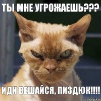 Ты мне угрожаешь??? Иди вешайся, пиздюк!!!!