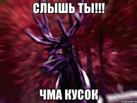 Слышь ты!!! чма кусок