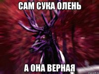 САМ СУКА ОЛЕНЬ А ОНА ВЕРНАЯ