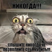 никогда!!! слышите никогда не позволяйте себя купить!!!