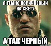 Я ТЕМНО КОРИЧНЕВЫЙ НА СВЕТУ А ТАК ЧЕРНЫЙ