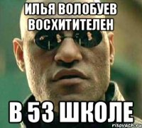 Илья волобуев восхитителен в 53 школе