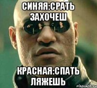 Синяя:срать захочеш Красная:спать ляжешь