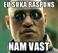 eu suka raspuns nam vast