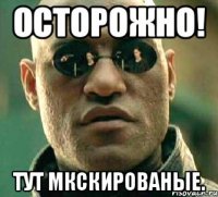 ОСТОРОЖНО! ТУТ МКСКИРОВАНЫЕ.