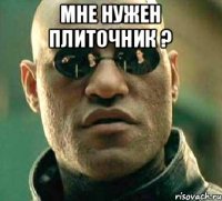 МНЕ НУЖЕН ПЛИТОЧНИК ? 