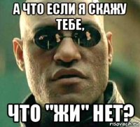 а что если я скажу тебе, что "жи" нет?