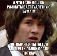 а что если кошка разматывает туалетную бумагу потому что пытается вытереть лапки после лотка?