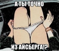 А ты точно Из айсберга!?