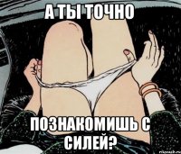 А ТЫ ТОЧНО ПОЗНАКОМИШЬ С СИЛЕЙ?