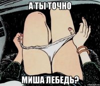 а ты точно миша лебедь?