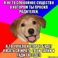 Я-не то спокойное существо о котором ты просил родителей, Я-то чучело которое будет кусаться,жрать твои тапки и гадит везде))