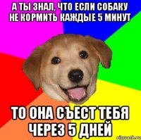 А ты знал, что если собаку не кормить каждые 5 минут То она съест тебя через 5 дней