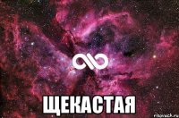  ЩЕКАСТАЯ