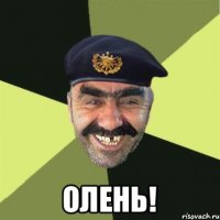  Олень!