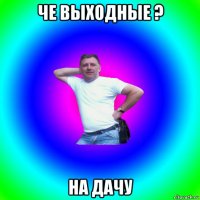 че выходные ? на дачу