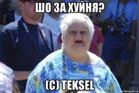 шо за хуйня? (с) teksel