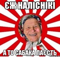 Єж наліснікі А то сабака паєсть