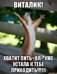 виталик! хватит пить<br> уже устала к тебе приходить!!!11