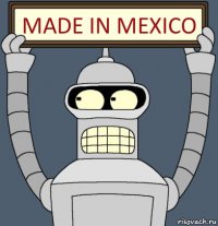 MADE IN MEXICO