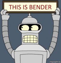 This is Bender