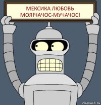 мексика любовь моя!чачос-мучачос!