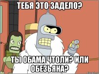 тебя это задело? ты обама чтоли? или обезьяна?