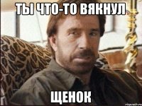 Ты что-то вякнул Щенок