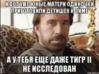 и вот уже юные матери одиночки приготовили детишек к зиме а у тебя еще даже тигр II не исследован