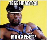 Тебе нравтся мой хрбет?