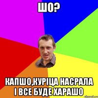 Шо? капшо,куріца насрала і все буде харашо